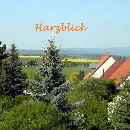 Willa Harzblick Halberstadt Zewnętrze zdjęcie