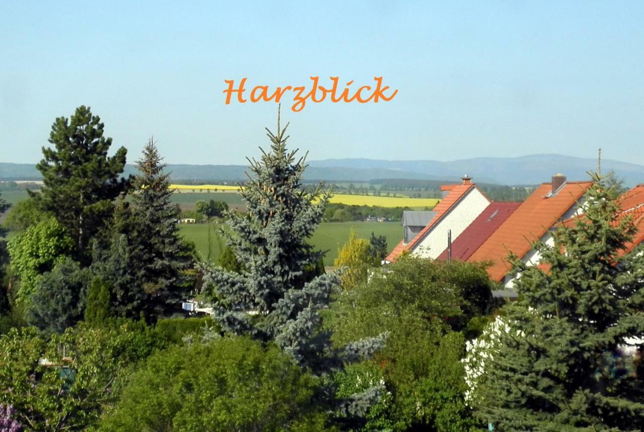 Willa Harzblick Halberstadt Zewnętrze zdjęcie